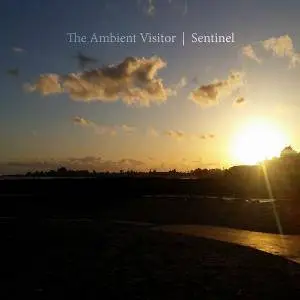 The Ambient Visitor - Sentinel (2017)