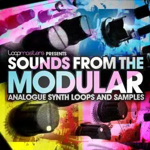 Loopmasters Sounds From the Modular MULTiFORMAT