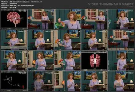 TTC Video - Understanding the Brain