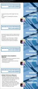 Business Analysis and Solution Evaluation (IIBA - ECBA)