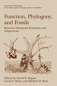 Function, Phylogeny, and Fossils: Miocene Hominoid Evolution and Adaptations