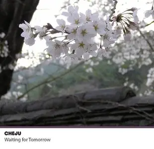 Cheju - Waiting For Tomorrow (2009)