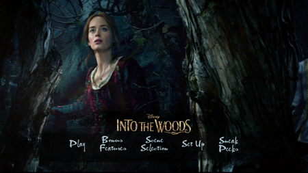 Into the Woods (2014)