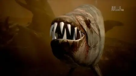 Discovery Channel - Tigerfish: Africa's Piranha (2014)