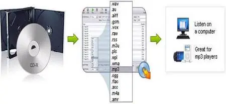 Express Rip Plus v1.43