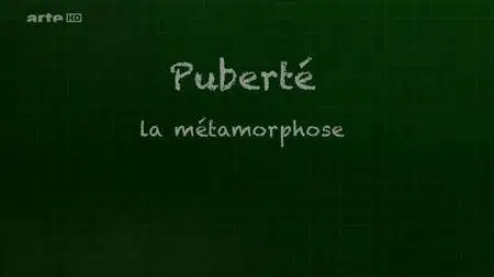 (Arte) Puberté : la métamorphose (2017)