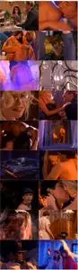 Playboy: Erotic Fantasies IV, Forbidden Liaisons (1995)