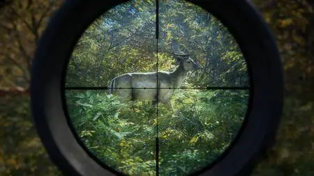 theHunter: Call of the Wild (2017) with Updates 1.9-1.10