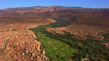 Home. A Stunning Visual Portrayal of Earth (2009)