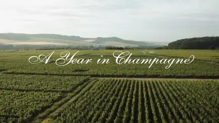 Amazon - A Year in Champagne (2014)