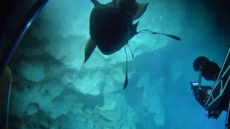 Deep Ocean: The Lost World Of The Pacific (2015)