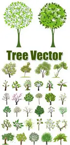 Tree Vector