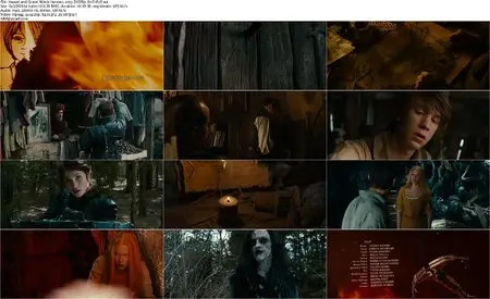 Hansel and Gretel: Witch Hunters (2013)