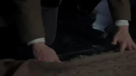 Poldark S05E08