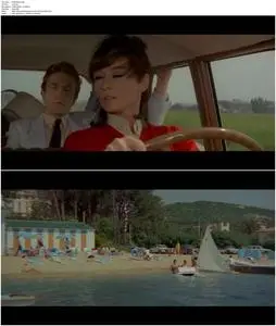 Two for the Road (1967)