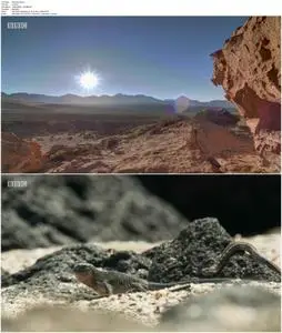 Planet Earth: A Celebration (2020)