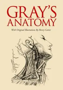 Gray's Anatomy: With Original Illustrations