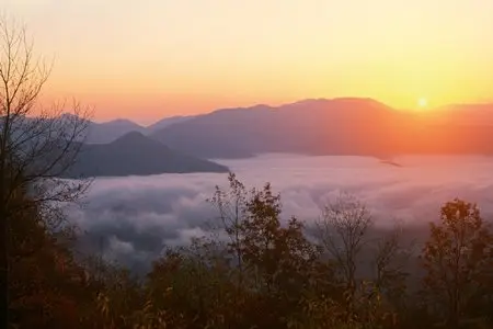 Sunrise Widescreen Wallpapers