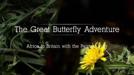 BBC - The Great Butterfly Adventure (2016)