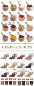 Stock Photo - Herbs & Spices 2