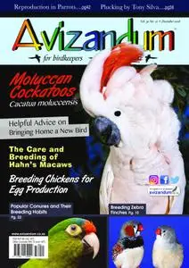 Avizandum – November 2018