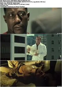 Blade Trinity (2004) [Reuploaded]