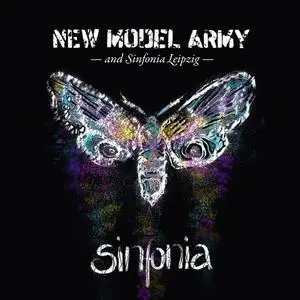 New Model Army - Sinfonia (Live) (2023)