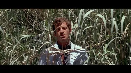 Pierrot le Fou (1965) [The Criterion Collection #421 - Out Of Print] [Re-UP]