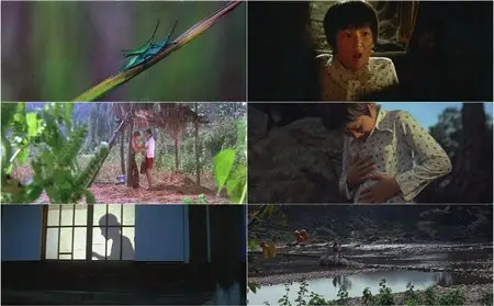 The Shower (1979)