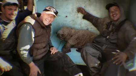 PBS Nature - Walrus: Life on Thin Ice (2025)