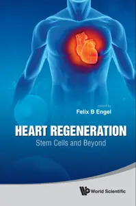 Heart Regeneration