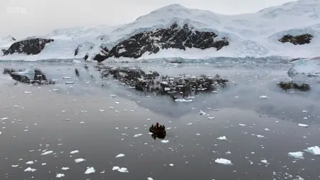 BBC - Secrets of Antarctica's Giants (2024)