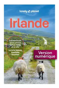 Collectif, "Guide Irlande 2026- 2027: Itinéraires, expériences, conseils pratiques"