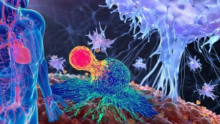 Comprehensive Immunology: Understanding The Immune System