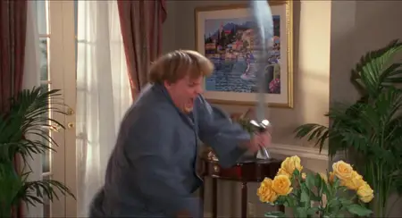 Beverly Hills Ninja (1997)