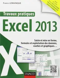 Fabrice Lemainque, "Travaux pratiques - Excel 2013 - Saisie et mise en forme, formules et exploitation des données, cour ..."