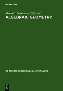Algebraic Geometry (De Gruyter Proceedings in Mathematics) 