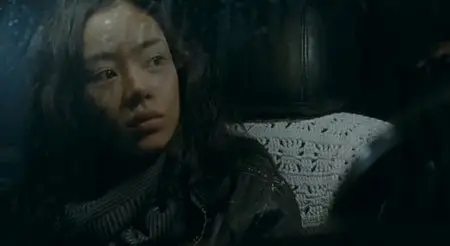 Paju (2009)
