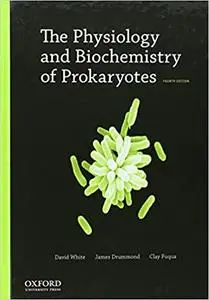 The Physiology and Biochemistry of Prokaryotes Ed 4