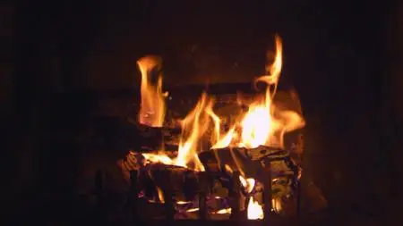 BluScenes: The Classic Fireplace (2009)