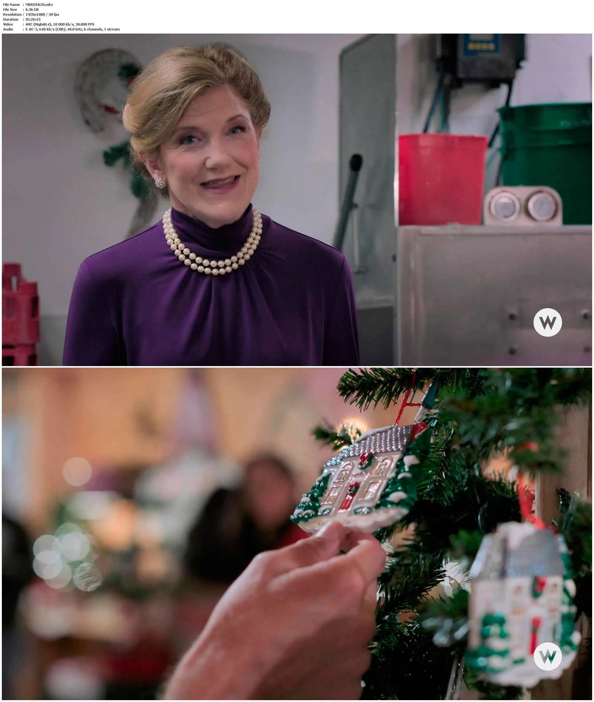 One Royal Holiday (2020)