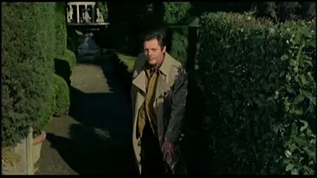 Così come sei / Stay as You Are (1978)