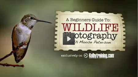 Kelbytraining - Moose Peterson - A Beginners Guide to Wildlife Photography (2012)
