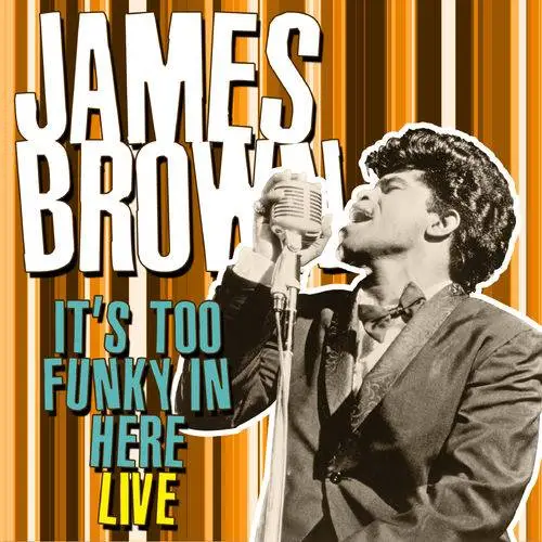 James Brown - It's Too Funky in Here (2018)
