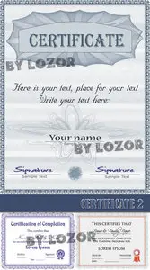 CERTIFICATE 2