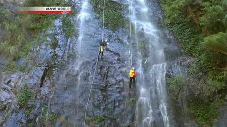 NHK - Great Nature: The Blue Mountains of New South Wales (2014)