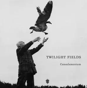 Twilight Fields - Consolamentum (2017)