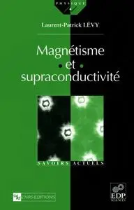 Laurent-Patrick Lévy, "Magnétisme et supraconductivité"