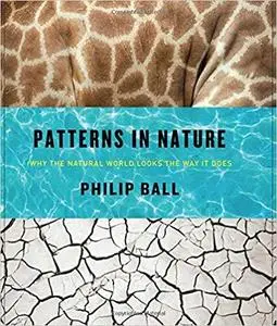 Patterns in Nature: Why the Natural World Looks the Way It Does