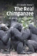 The Real Chimpanzee: Sex Strategies in the Forest